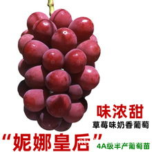 ���Ȼʺ����ј����ش�޽ӹ����������Թ���ͥԺ�����ϱ����ͺ�