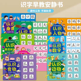 识字书幼儿认字启蒙早教安静书儿童识字卡片全套幼儿园宝宝认知