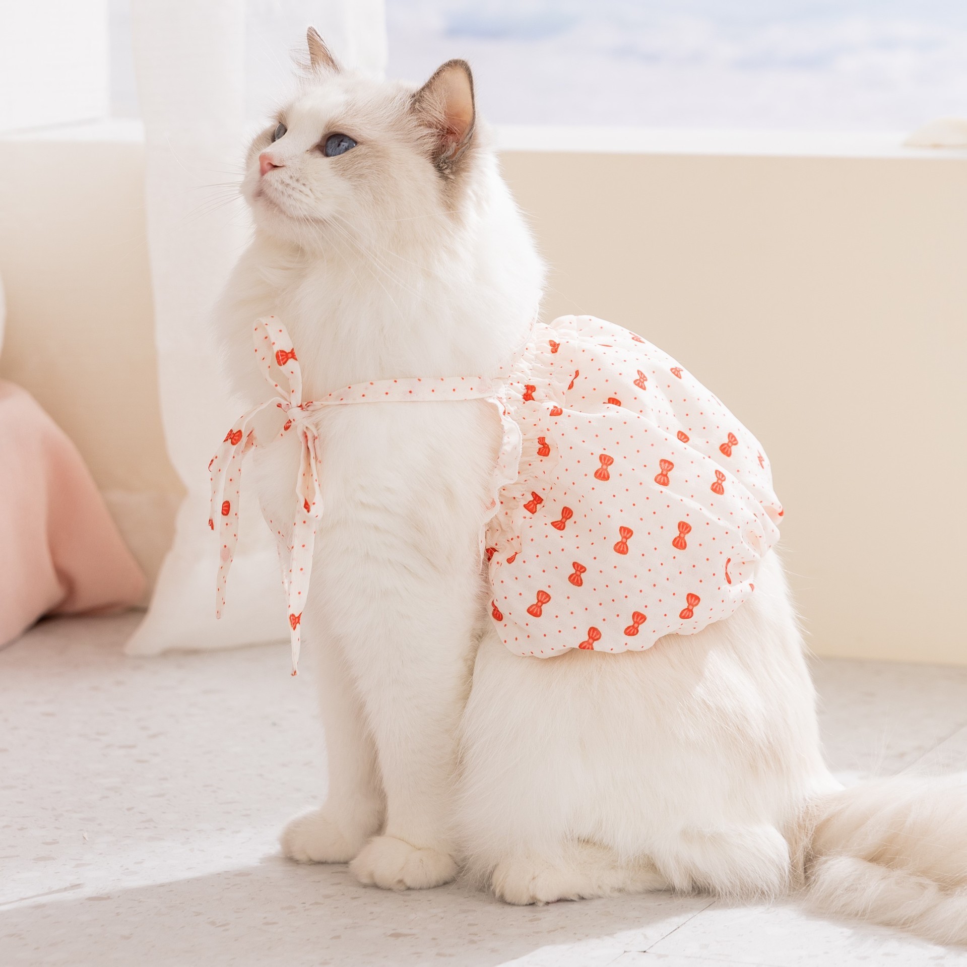 26 años de primavera y verano nuevo gato delgado vestido de princesa vestido de perro pequeño y mediano que panda ropa de perro ropa de mascotas