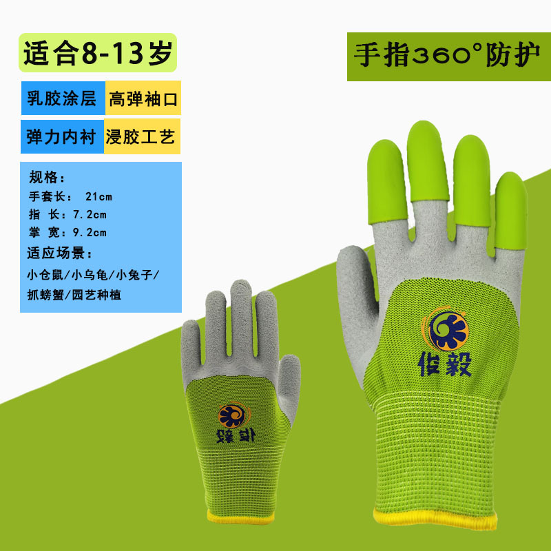 8-13 년 된 바다 준설 녹색