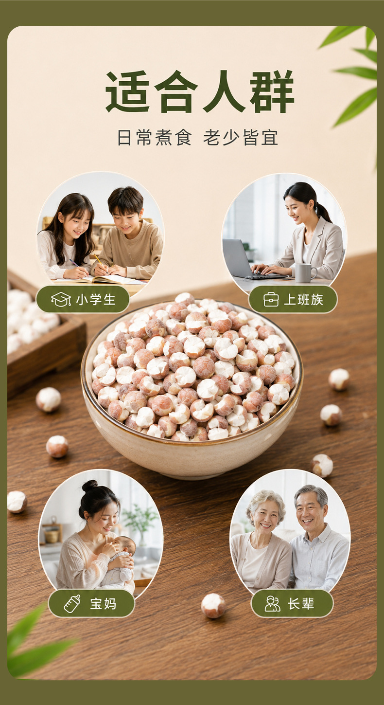 Organic Dried Gorgon Fruit Qian Shi 12mm Large Granules 500g Premium Red Skin Euryale Seeds specifications