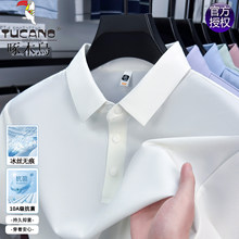 ��ľ�B2026�ļ��¿���z������ʿ����POLO�����It���o���w������