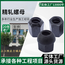 厂家供应精轧螺母加大加长螺母加厚螺母六角头精轧螺母桥梁连接母