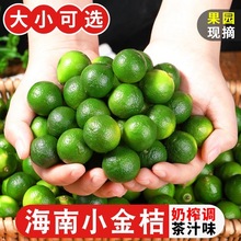 ���r�����������r�����С�����̲����ˬ���rˮ��С�������