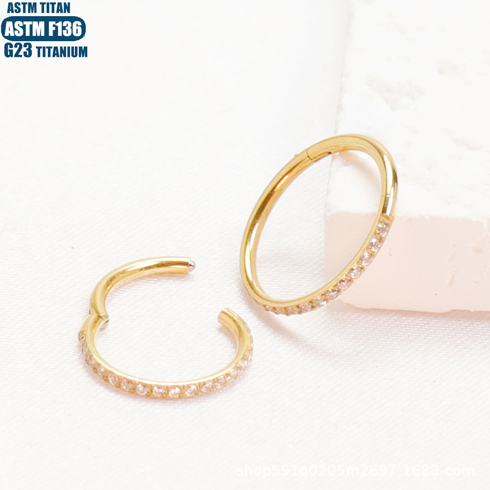 F136 Implant Grade Titanium Alloy Nose Ring Earring with Zircon CNC Seamless Ring - Fashion Geometric Jewelry detail image 9