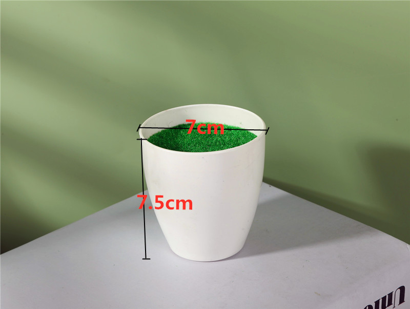 746A3377_好压看图_副本