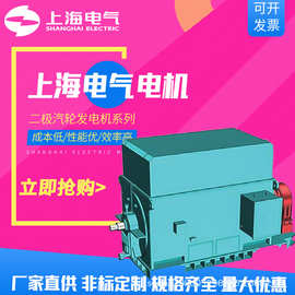 上海电气集团上海电机厂发电机二极汽轮发电机3MW-30MW电力冶金用
