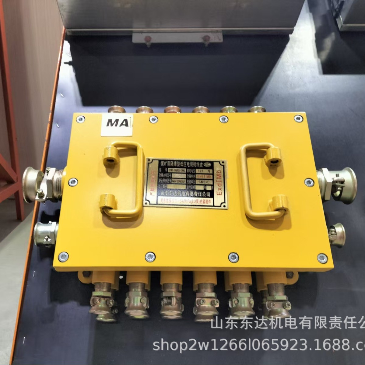 BHD-10/127-16G隔爆型低压电缆接线盒用于信号照明电缆分支连接用