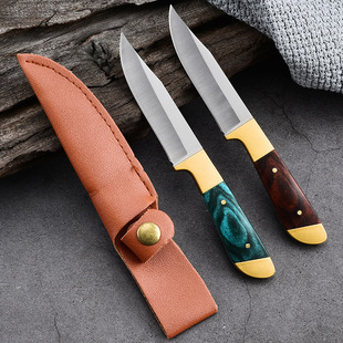 Portable Inner Mongolia Cattle and Sheep Hand-held Meat Household Sharp Stainless Steel Boning Dinner Knife Paring Knife Fruit Knife