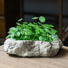 创意个性仿石头铜钱草水培花盆陶瓷客厅家用水养绿植盆缸桌面中式