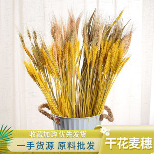 ��ϏS�����l����ɻ����ҾӲ廨��@�L�b�����ɻ��F؛����