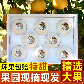 软糖;非处方滋补膏;硬糖