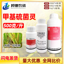 �׻�����`50%���К�����ˮ���y�ݲ�ˮ������һ�wֲ���ÏV���rș