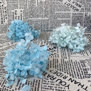 ���������İ��Ƚ������������lС�~����ɻ����r��20g/��