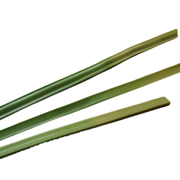 Simulated bird of paradise leaves