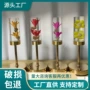 usb新款客厅亚克力台灯