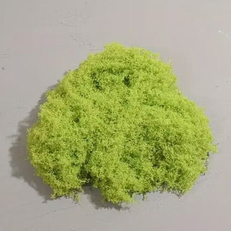 白髪のコケの糸状のコケの芝生をシミュレーションします。|undefined