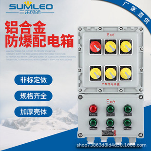 Explosion-proof distribution box explosion-proof power socket overhaul instrument wire box aluminum alloy carbon steel thickened explosion-proof control box