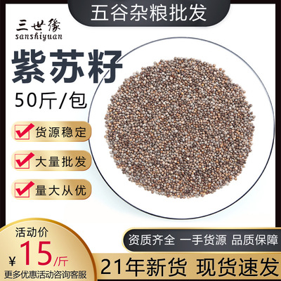 批發紫蘇籽 廠家銷售五谷雜糧原料散裝 OEM代工貼牌