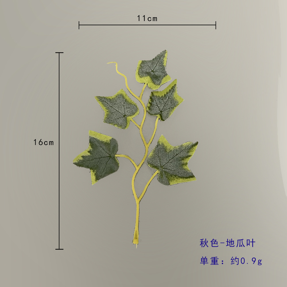 가을 고구마 잎