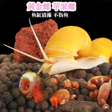 �S�����O����С���~�׳������^�p�ݳ����ݳԼS��ˮ���B�����ݻ���