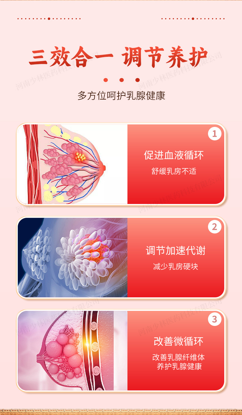 Breast Care Herbal Patch 6-Piece Pack for Women Chest Wellness External Use in use