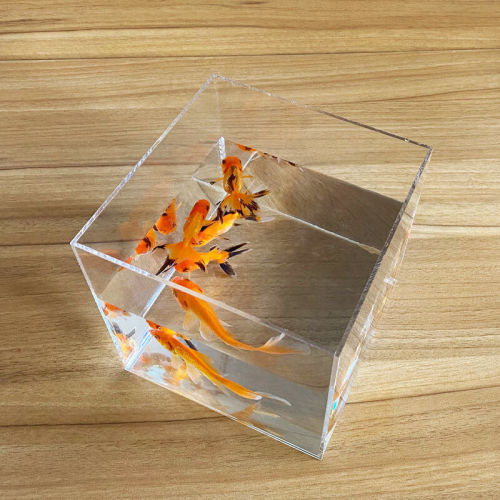 Isolation box small white betta display rack multi-grid desktop creative small fish tank ecological tank acrylic plate turtle