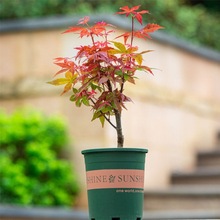 �t���辰�ļ����B���҃����������Ϙ��ͺ��^�~ֲ��t�輧������]