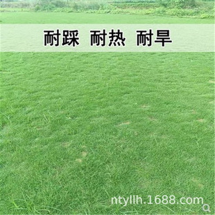 �¿�Ұţ�ݷN���o�¹�����ƺ�ݷN�Ѱ����ļ��L���ͺ��ͺ���������