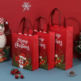 无纺布袋;收纳袋收纳包;家用购物袋