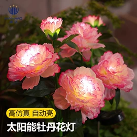 景观灯;LED装饰灯;太阳能灯