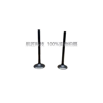 exhaust valves, Motorcycle engine and accessories