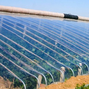 Brand New Material Po Film High Light Transmittance Anti-Fog Greenhouse Film Long Life Film Greenhouse Film Anti-Aging Vegetable Shed Film Shipped from Shandong