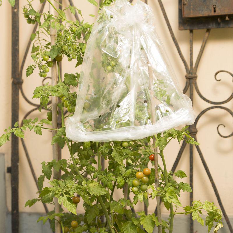 perforated  tube  bag