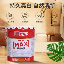 艺术涂料;硅藻泥;特种建材