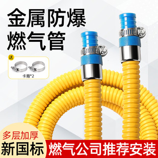 Household gas pipe gas pipe natural gas liquefied gas explosion-proof metal stainless steel bellows gas special hose