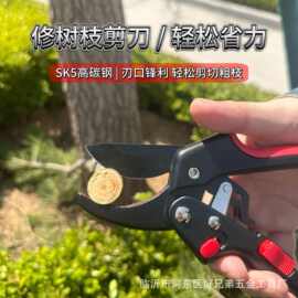 sk5分段式修枝剪刀修花剪子园林剪园艺剪树枝剪果树剪护手省力剪