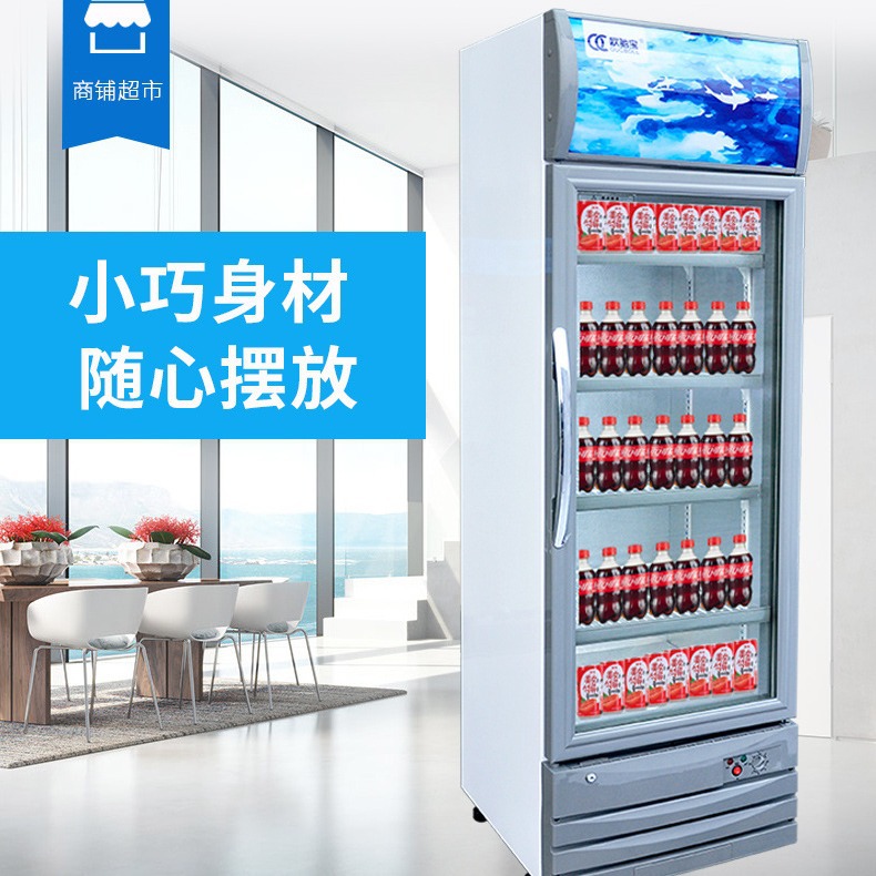 欧驰宝立式单门双门三门展示柜饮料陈列柜水果保鲜柜啤酒冷藏柜