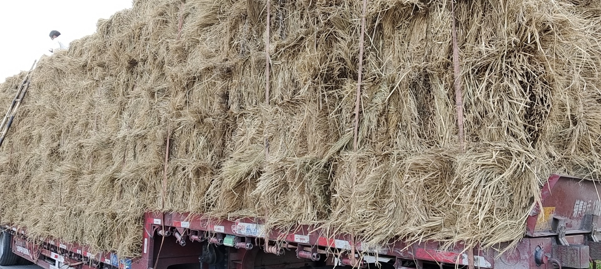 5fab5375bcaabe5e7a47a8fe6760de