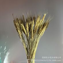 ԭɫ����ɻ������Ҿ��b�������Ȼ���sܛ�b��в����Ĕz����