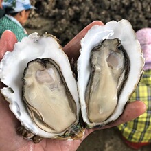 �r��ˮ�aտ��������l�V�|���r����ĵϠС���һ��������؛���T