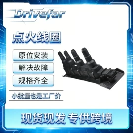 油泵、油嘴;点火线圈;车身及附件