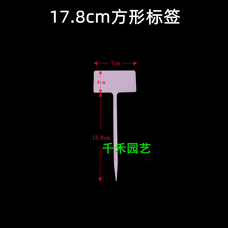 Purple 17.8cm square label