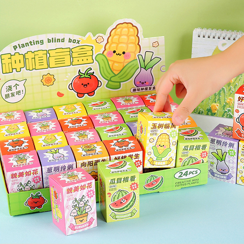 Children's Potted Plant Blind Box Indoor Green Plant Observation Office Desktop Plant Ornaments Primary School Students' Science Experiment