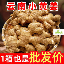 ���С�S���������l�F���½��۽��Ͻ��н����ӽ�ɳ�����eʳƷ���l