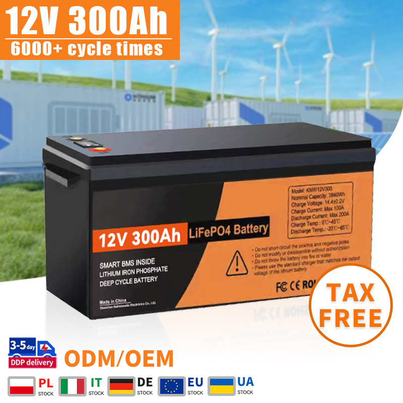 [12V 300Ah Lifepo4 Battery Pack with Smart BMS 24V 48V 100AH]