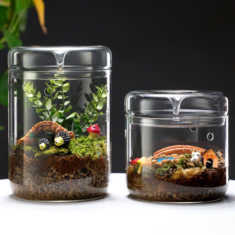 Коллекция ручной работы Настольный стеклянный микроландшафт