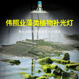 Algae Green Algae Plant Fill Light Fish Pond Shrimp Pond Breeding Algae Explosion Lamp Moss Coral Fish Tank Seaweed Lamp