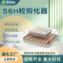 WONEGG全自动迷你孵化器56枚家禽鸟蛋小鸡养殖孵化机鹌鹑孵蛋器