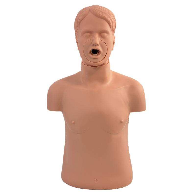 ߼CPRģ ͯģ ķģ